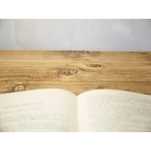 Scaffold Desk with Shelf+Wheels - RizAndMicaMake