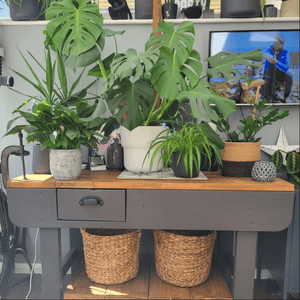 Sanded Board Offcuts, Perfect for DIY- Shelves, Panelling Etc. - RizAndMicaMake