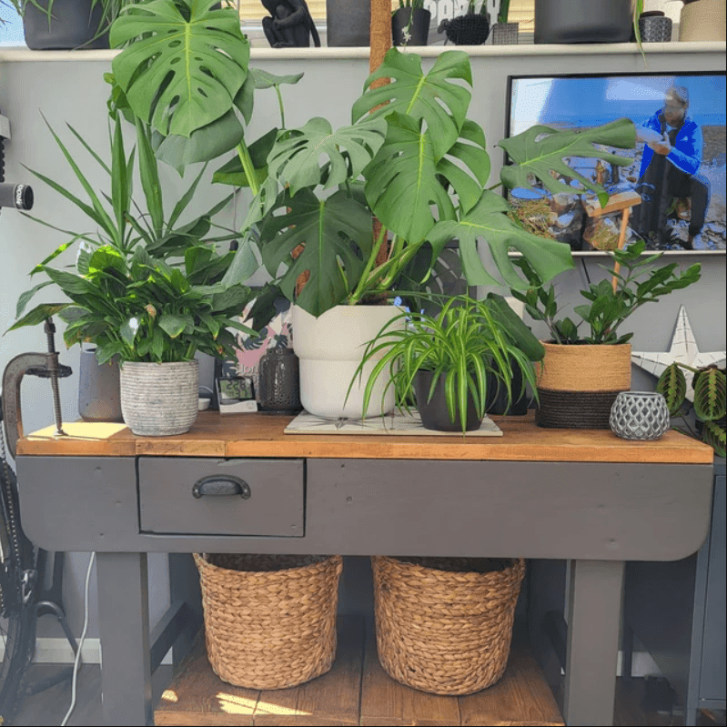 Sanded Board Offcuts, Perfect for DIY- Shelves, Panelling Etc. - RizAndMicaMake