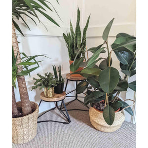 Reclaimed Handmade Wood Plant Stools, Solid Steel Legs, Different Heights Available