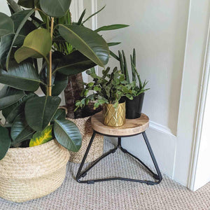 Reclaimed Handmade Wood Plant Stools, Solid Steel Legs, Different Heights Available