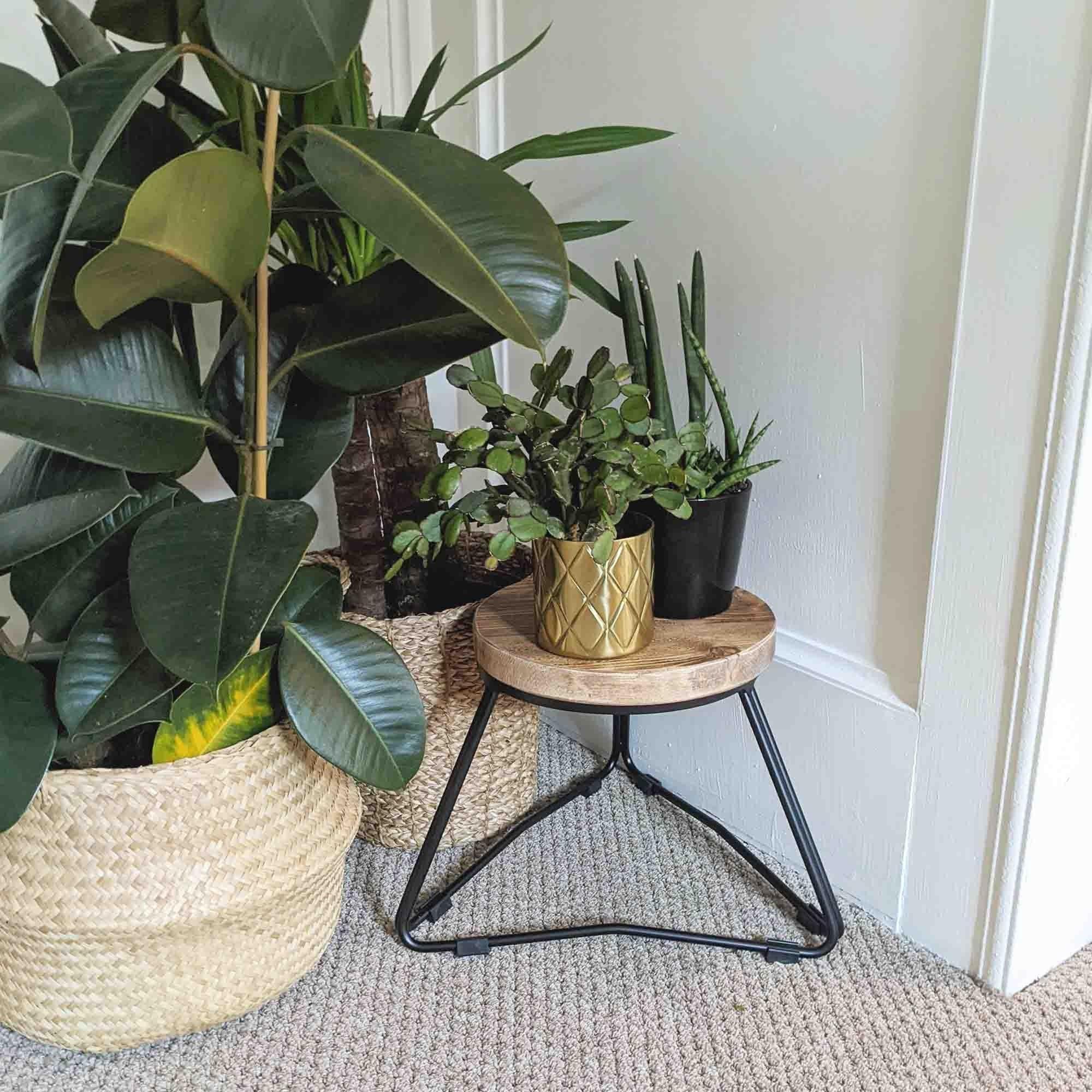Reclaimed Handmade Wood Plant Stools, Solid Steel Legs, Different Heights Available