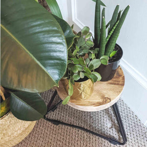 Reclaimed Handmade Wood Plant Stools, Solid Steel Legs, Different Heights Available