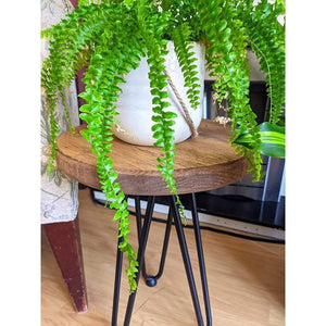 Solid Minimalist Round Stool - RizAndMicaMake