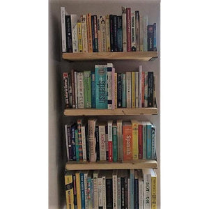 Reclaimed Wood Shelf - RizAndMicaMake