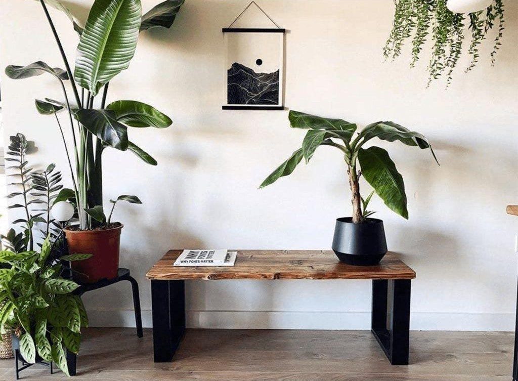 How to Choose the Right Bench for Your Space