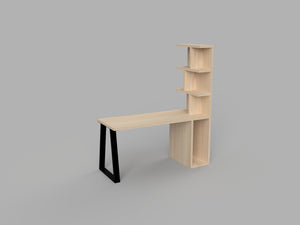 Desk With Integrated Bookshelf - RizAndMicaMake