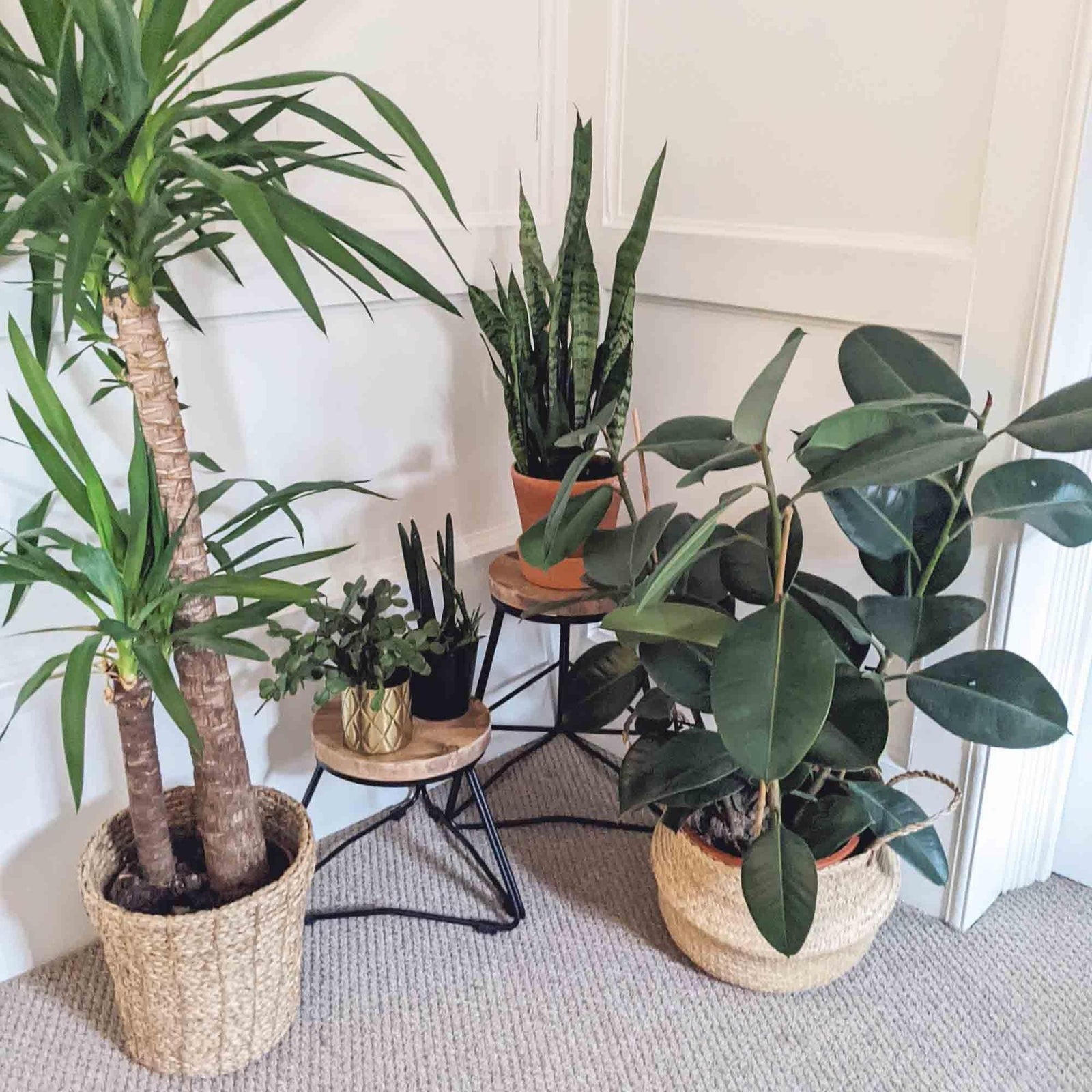 Reclaimed Handmade Wood Plant Stools, Solid Steel Legs, Different Heights Available