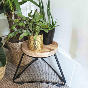 Reclaimed Handmade Wood Plant Stools, Solid Steel Legs, Different Heights Available