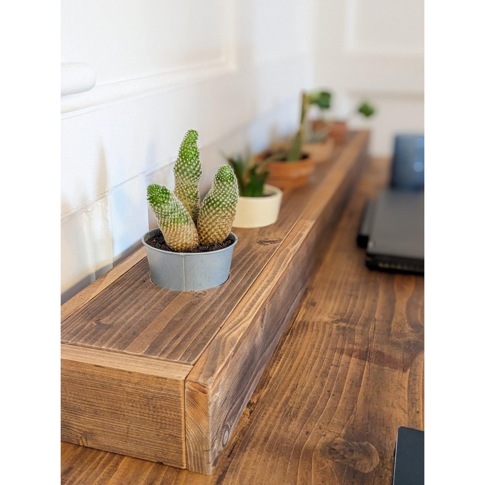 Handmade Plant Display Rack